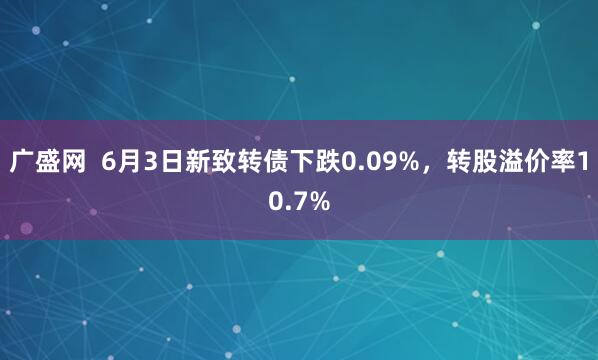 广盛网  6月3日新致转债下跌0.09%，转股溢价率10.7%