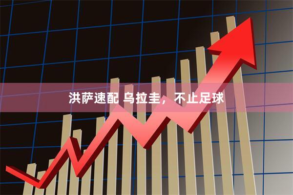 洪萨速配 乌拉圭，不止足球
