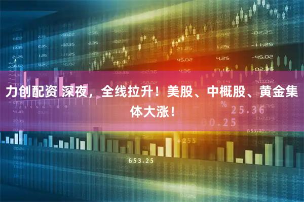 力创配资 深夜，全线拉升！美股、中概股、黄金集体大涨！
