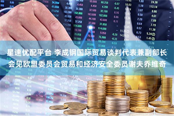 星速优配平台 李成钢国际贸易谈判代表兼副部长会见欧盟委员会贸易和经济安全委员谢夫乔维奇