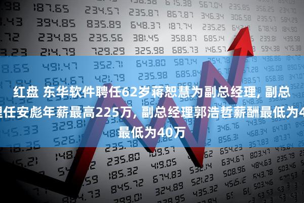 红盘 东华软件聘任62岁蒋恕慧为副总经理, 副总经理任安彪年薪最高225万, 副总经理郭浩哲薪酬最低为40万