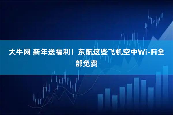 大牛网 新年送福利！东航这些飞机空中Wi-Fi全部免费