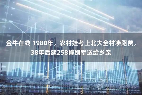金牛在线 1980年，农村娃考上北大全村凑路费，38年后建258幢别墅送给乡亲