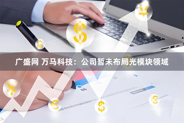 广盛网 万马科技：公司暂未布局光模块领域